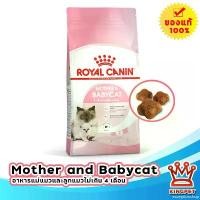 ราคา exceptionshop แบบพกพา (EXP7/2025) Royal canin Babycat 10 Kg อาหารลูกแมว หย่านม-4เดือน และแม่แมว (1731703938151451120)
