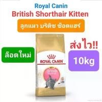 ราคา exploreshop38 ความคงทน Royal Canin British Shorthair Kitten 10kg / British Shorthair Adult 10kg โรยัลคานิน อาหารแมวโต ลูกแมวบริติช 10 กก. (1731713306052233848)
