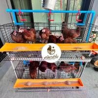 ราคา กรงไก่ไข่พร้อมขากรงแบบ2ชั้น พร้อมถาดรองขี้ไก่ ใส่ไก่ได้18ตัว เหล็กชุบEDPกันสนิมสีดำ 2ชั้นHen cage with stand (1730713156022798820)