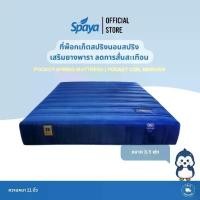 ราคา SPAYA Pocket Spring Mattress ที่นอนพ็อกเก็ตสปริง เสริมยางพารา [ รุ่น Pocket Coil Morgan ] ขนาด 3.5 ฟุต ความหนา 11 นิ้ว (1730123479289924036)