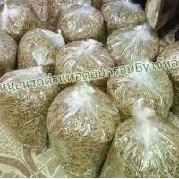 ราคา หนอนรถด่วนทอดอบกรอบ 5กก. ราคาส่ง (1730293507099757564)