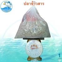 ราคา ปลาข้าวสาร 5กิโล 1ถุง ปลาข้าวสารแห้ง ปลาแห้งข้าวสาร ปลาข้าวสารจืด ปลาแห้ง ปลาตากแห้ง อาหารทะเลแห้ง ของทะเลแห้ง อาหารทะเล อาหารทะเลตากแห้ง ของฝาก ประจวบ (1729449757167880247)