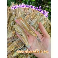ราคา ปลาช่อนทะเลไซร์จิ๋ว ไม่เค็ม แห้งสนิท ขนาด 5 กิโลกรัม (1729742678258059761)