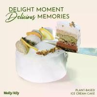 ราคา Ice-Cream Cake - Delight Moment, Delicious Memories (2ปอนด์) เค้กไอติมรสชาติ6แบบ เข้มข้นครีมมี่ ไม่มีนมวัว Vegan (1730690889042332063)