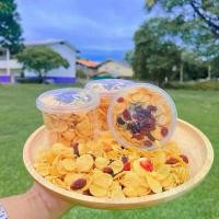 ราคา 100 กระปุก 1940 บาท คอร์นเฟลกส์คาราเมลน้ำผึ้งแท้ ขนาด 80 กรัม (1732232393794619890)