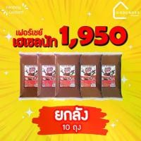 ราคา (พร้อมส่ง)B8810 เฟอร์เชย์ เฮเซลนัท ​ Fershay Hazelnut 900g. เฮเซลนัทบดผสมโกโก้ ช็อคโกแลต ไส้ช็อคโกแลต 1 ลัง มี 10 ถุง (1730765341414820641)