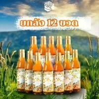 ราคา น้ำผึ้งแท้100% เกสรดอกลำไย แบบขวดยกลัง 12 ขวด (ขวดละ 1,000 กรัม) Sun Forest (1730197515713415448)