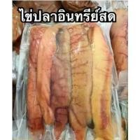 ราคา จัดส่งทันที. ไข่ปลาอินทรีย์ อาหารทะเลแห้ง ปลาหมึกแห้ง ไม่เค็ม อาหารทะเลแห้ง สดใหม่ทุกวัน ปลอดสารพิษ - Hunter Seafood (1732001293249579890)
