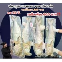 ราคา ปลากุเลาทองราชาปลาเค็ม ราคาส่ง (1729610700898863901)