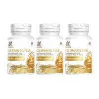 ราคา เบญจออยล์ ไรซ์ บราน ออยล์ 30 แคปซูล (แพ็ค 3 กระปุก) (1730003491576645929)