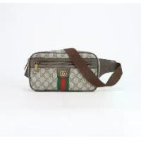 ราคา (Second-hand) GUCCI Ophidia Small Belt Bag ( used ) (1731112251392560126)