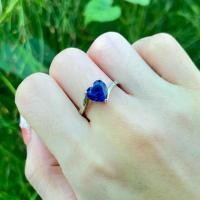 ราคา PR08 แหวนพลอยแท้ ไพลิน (บลูแซฟไฟร์ ) พลอยแท้พลอยธรรมชาติ ปรับไซส์ได้ (1731273813642546053)