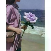 ราคา ชุดวัสดุแฮนด์เมด, DIY, ดอกทานตะวันและกุหลาบยักษ์, วัสดุสร้างสรรค์, แท่งบิด, ของขวัญสำหรับแฟน, ช่อดอกไม้สำเร็จรูป, DIY ดอกรักพลาสติก grade A ต้นไม้ปลอม ต้นไม้มงคล พร้อมกระถางเบลล่ (1732126006682290908)