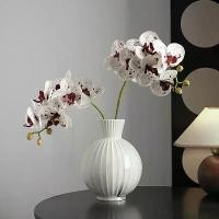 ราคา แจกันเซรามิก ดีไซเนอร์ Jingdezhen เส้นผ่านศูนย์กลางขนาดใหญ่ สีขาว แจกันจัดดอกไม้ เครื่องประดับตกแต่งบ้านระดับไฮเอนด์ ดอก ทานตะวัน ลวด กํา มะ หยี่ มาลัย ดอกเข็ม ดอก คุณนาย (1731952289585202873)