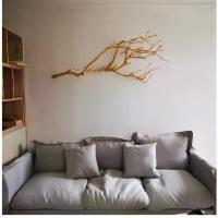 ราคา กิ่งไม้อายุวัฒนะพร้อมกิ่งกึ่งเล็ก, ตกแต่งโคมไฟแขวน, ภูมิทัศน์ศิลปะไม้แห้ง, แจกัน, [COD] (1731817534990288687)