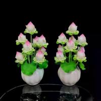 ราคา รวม 9 ดอก สูง 8"-12" แจกันดอกบัวดินปั้น 9 ดอก ดอกบัวดินปั้น ดอกไม้ไหว้พระ ดอกบัวไหว้พระ ตั้งไหว้พระในร่ม แจกัน Flowers บูชาพระ ดอกไม้ปลอม (1730623969808518040)