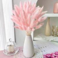 ราคา หญ้าหางกระต่าย, ดอกไม้สดที่เก็บรักษาไว้, ดอกไม้แห้งที่วางไว้อย่างถาวร, ช่อดอกไม้, การจัดดอกไม้, แจกัน, ตกแต่งห้องนั่งเล่น, การอบแห้งตามธรรมชาติ Flowers (1731386243876292951)