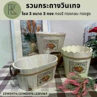 ราคา รวมกระถางวินเทจ ไซส 3 ขนาด 3 ทรง ทรงรี ทรงกลม ทรงสูง กระถางดอกไม้ ตกแต่งสวน ตกแต่งบ้าน วินเทจ แจกัน แจกันดอกไม้ (1731099203461810964)