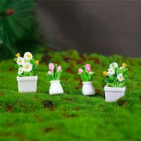 ราคา กระถางต้นไม้ กระถางต้นไม้ ตุ๊กตาจิ๋ว แจกัน กระถางต้นไม้ พืชสีเขียว ดอกไม้ตกแต่งสำเร็จรูป ตกแต่งกลางแจ้ง (1732559245322389467)