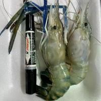 ราคา กุ้งแม่น้ำตัวผู้ กุ้งสดๆ แล้วนำไปแช่แข็ง ตัวใหญ่ๆเนื้อแน่นๆ ไซส์10-15ตัวต่อ1กิโลกรัม แบ่งขายแพ็คละ1กิโลกรัม (1731412240360310970)