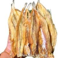 ราคา ช่อนทะเล ไซร์บางใหญ่ ขนาด 30-40ตัวต่อ1กิโล ปลา แห้ง (1731108056998709881)