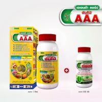 ราคา มาแรง จัมโบ้ AAA ขยายผลใหญ่ 1 ลิตร + สารจับใบ 500 ซีซี สร้างเนื้อ เพิ่มความหวาน ช่วยทำสี เพิ่มน้ำหนักผล ปุ๋ยยา ปุ๋ย อะมิโนพืช (1732246528327124145)
