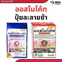 ราคา Jemimarichshop ปุ๋ย ออสโมโค้ท ขนาด 1 กิโลกรัม พรีเมี่ยม ของแท้ 100% บำรุงต้น 13 13 13 เร่งดอก 12 25 6 ปุ๋ยแคคตัส ปุ๋ยชวนชม ปุ๋ยเม็ด ปุ๋ยต้นไม้ ปุ๋ยเร่งใบ ปุ๋ยดอกไม้ ออสโมโคส บล็อกบัสเตอร์ (17321292229