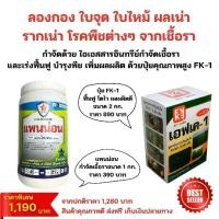 ราคา แพนน่อน กำจัดเชื้อราในต้นลองกอง โรคใบจุด ใบไหม้ ผล-รากเน่า และเร่งฟื้นฟู เพิ่มผลผลิตด้วย ปุ๋ย FK-1 (1731024585808841510)