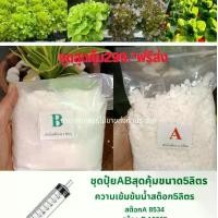 ราคา ปุ๋ยAB สำหรับปลูกผักสลัด พืช ผักสวนครัว ชุดสุดคุ้ม (1729581425068510072)