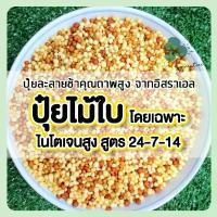ราคา 【จัดส่งทันที】 ปุ๋ย ปุ๋ยไม้ใบ ไนโตเจนสูง ผักทานใบ ไทรเกาหลี กวักมรกต มอนสเตล่า ไทรใบสัก ยางอินเดีย ล่ำซำ กระดุมใบเงิน สนามหญ้า (1732553113315870467)