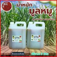 ราคา Idaglkahbshop ปุ๋ยน้ำ ชีวภาพ มูลสุกร 100% ขนาด 5 ลิตร น้ำหมัก มูลหมู ขี้หมู สูตรเข้มข้น พืช โตเร็ว ปุ๋ย หมัก emx4 คุณภาพ จุลินทรีย์ดี ที่นิยมมากที่สุด (1730790583700327102)