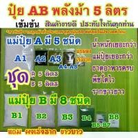 ราคา ปุ๋ย AB ชุด 5 ลิตร 3 ชุด แถมชา 1 ปุ๋ย สูตรพลังม้าเข้มข้น ผักไฮโดรโปนิกส์ ทั้งน้ำวนและน้ำนิ่งและพ่นทางใบพืชทุกชนิด (1731358591392123901)