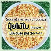 ราคา ปุ๋ย ปุ๋ยไม้ใบ ไนโตเจนสูง ไทรเกาหลี กวักมรกต มอนสเตล่า ไทรใบสัก ยางอินเดีย ล่ำซำ กระดุมใบเงิน สนามหญ้า (1732436109310657547)