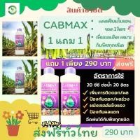 ราคา CABMAX แคลเซียมโบรอน สูตรเข้มข้น ธาตุอาหารพืช 2 ขวด 290 บาท ปุ๋ย สูตร ปุ๋ย สูตร แคลเซียม โบรอน ทาง ใบ (1731006862768966048)