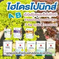 ราคา (แบ่งขาย 3 กิโล) แม่ปุ๋ยไฮโดรโปรนิกส์ (ผักสลัด ผักไทย)(ปุ๋ยA= 15-0-0, เหล็กม่วง,เหล็กเหลือง) (ปุ๋ยB=13-0-46, 0-52-34, 12-61-0, MgSO4,จุลธาตุรวม) #ดวงตะวันเพชร (1731333146397280204)