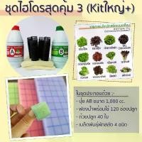 ราคา ชุดปลูกผัก สลัด ไฮโดรโปนิกส์ ปุ๋ยไฮโดรโปนิกส์ ปุ๋ยน้ำ ปุ๋ย AB สารละลาย AB ธาตุอาหาร AB ผักสลัด DIY (1732611692621497375)