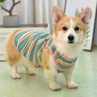 ราคา เสื้อกั๊กสัตว์เลี้ยง คอกิชิวา ชิวาวา ไซส์เล็กและกลาง บางและระบายอากาศ น่ารักสุดๆ ทันสมัย เหมาะสำหรับทุกฤดูกาล เสื้อ หมาราคา ส่ง ชุด นอนแมว กัน ขนร่วง เอ วิน แมว เสื้อ หมา (1732282712332797590)