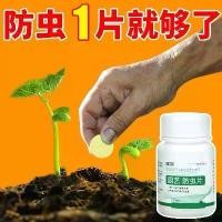 ราคา เม็ดยาฆ่าแมลงพืชสวน ยาถ่ายพยาธิ ปุ๋ย ผัก ดอกไม้ ถ่ายพยาธิ เพลี้ยไฟ เพลี้ยไฟ ผงสีขาว กระถาง ดอกไม้ชีวภาพ พืชป้องกันการเน่า (1732590502327649815)