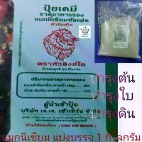 ราคา ปุ๋ย แมกนีเซียมซัลเฟต (MgO) 26% + กำมะถัน (S) 21% ช่วยบำรุงต้น บำรุงใบ ทำให้ใบเขียว สังเคราะห์แสงได้ดี ทำให้พันธุ์ไม้แข็งแรง แบบผงสีน้ำตาล แบ่งบรร (1729653736930248984)