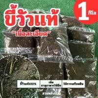 ราคา ปุ๋ยมูลวัวเเท้100% เนื้อละเอียด ปุ๋ยขี้วัว ปุ๋ยวัวนม ปุ๋ยมูลวัวตากเเห้ง ขี้วัว ปุ๋ย ตากแห้ง (1731158769760110608)