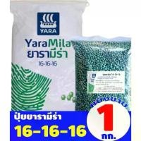 ราคา ปุ๋ย 16-16-16 เรือใบยารามีร่า แบ่งขาย 1kg บำรุงทุกส่วนของพืช (1730791667672122817)