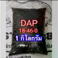 ราคา ปุ๋ย แดป 18-46-0 เร่งดอก บำรุงราก (1729649511658785657)