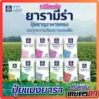ราคา ปุ๋ยเคมียาร่ามีร่าแบ่งขาย 1กก. 15-15-15,16-16-16,8-24-24,13-13-21,25-7-7,46-0-0 ปุ๋ยยาร่ามีร่า Yara ธาตุอาหารหลักครบถ้วน+ธาตุรองเสริม ปุ๋ยคุณภาพ ปุ๋ย (1731967127155475619)
