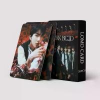 ราคา LOMO CARD 55P ENHYPEN: DARK BLOOD | GGU | 2023 SEASON'S GREETINGS การ์ดโลโม่ เอนไฮเพน แบบ 2 ด้าน 55 ชิ้น/กล่อง โค้งมน ไร้ขอบ โฟโต้การ์ด ขนาด 8.7×5.7 ซม.KPOP (1729582873202755622)