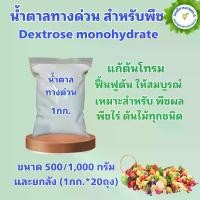 ราคา ปุ๋ยน้ำตาลกลูโคส น้ำตาลทางด่วน แก้ต้นโทรม สำหรับพืช Dextrose monohydrate (D-Glucose) (1729618596006889956)