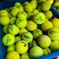 ราคา ลูกเทนนิสมือสอง ใช้ฝึก ซ้อม ตีเล่น tennis wilson st.james dunlop fort (1732340864654674079)