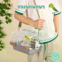 ราคา กรงนกพกพา กรงจิ๋ว เล็ก ขนาดเล็ก หงษ์หยก เลิฟเบิร์ด ฟอพัส นกแก้วจิ๋ว Bird (1731406446653572950)