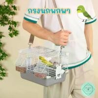 ราคา กรงนกพกพา กรงจิ๋ว เล็ก ขนาดเล็ก หงษ์หยก เลิฟเบิร์ด ฟอพัส นกแก้วจิ๋ว Bird (1732269637139465395)