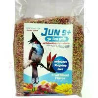ราคา COD จูน ไนน์ พลัส อาหารนกกรงหัวจุก ปริมาณ 500 กรัม Jun 9+ bird food for Jambuls | FruitBlend Flavor (1731689355912381964)