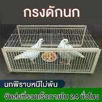 ราคา เพนียดดักนก กรงดักนก กรกดักนกเขา กรงกับดักนกพิราบ กรงนกพิราบ ที่ดักนก กรงนกทางเดียว กรงต่อนก capture bird cage (1730265649155443251)